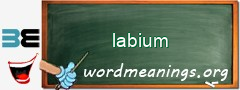 WordMeaning blackboard for labium